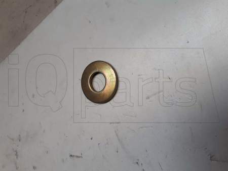 Scheibe SPANNSCH. 16,5 DIN6796 VZI.