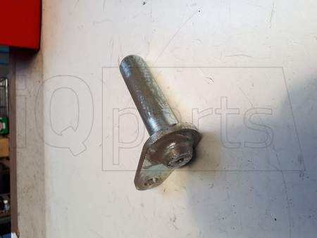 BOLZEN BOLZEN GESCHW.